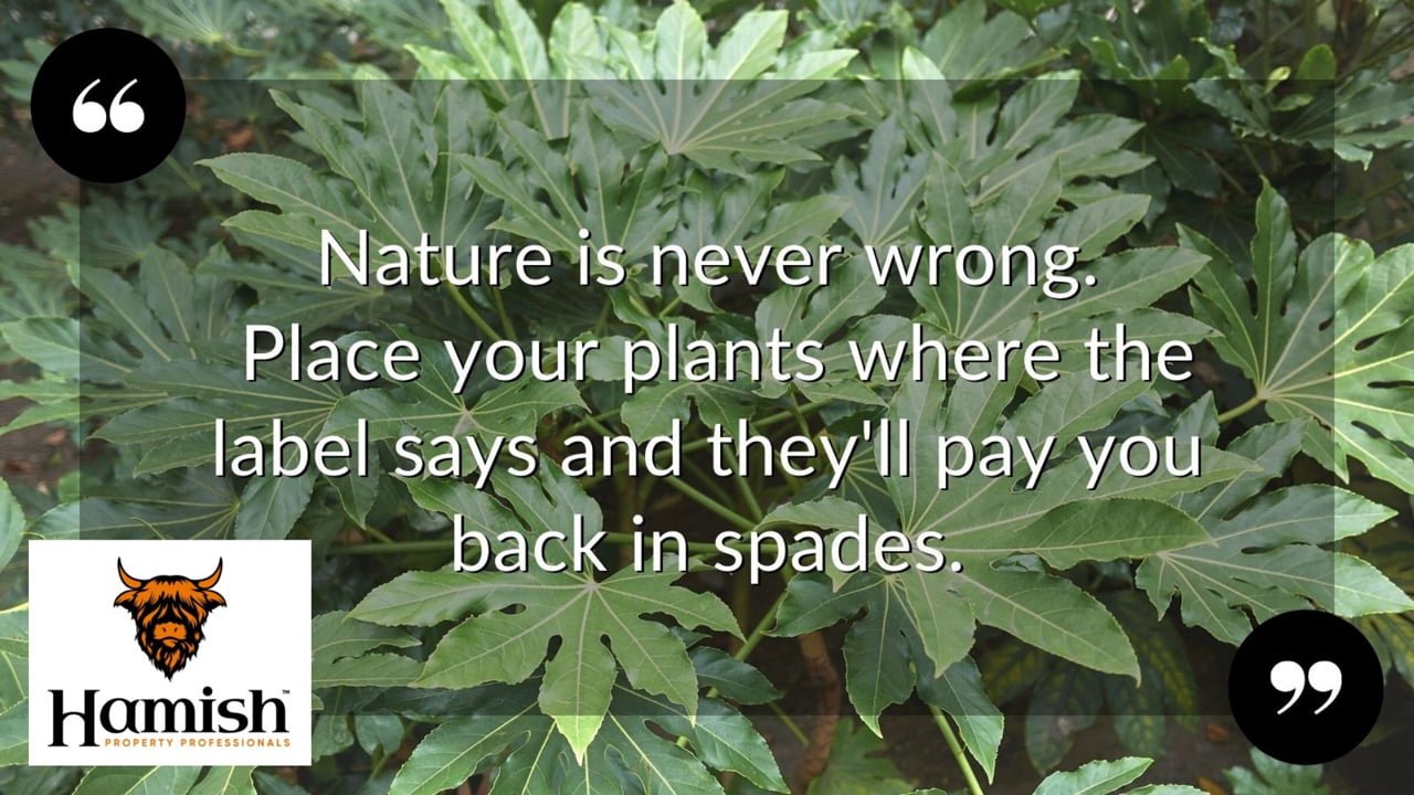 Have Fun With Sun and Shade