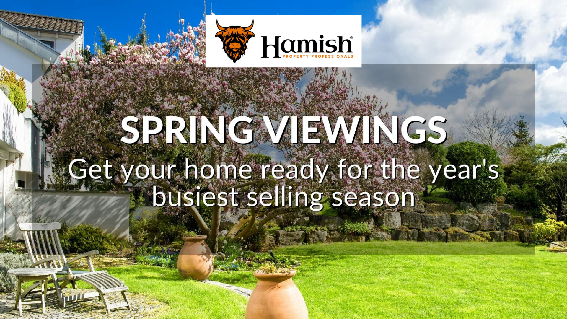 Spring Viewings